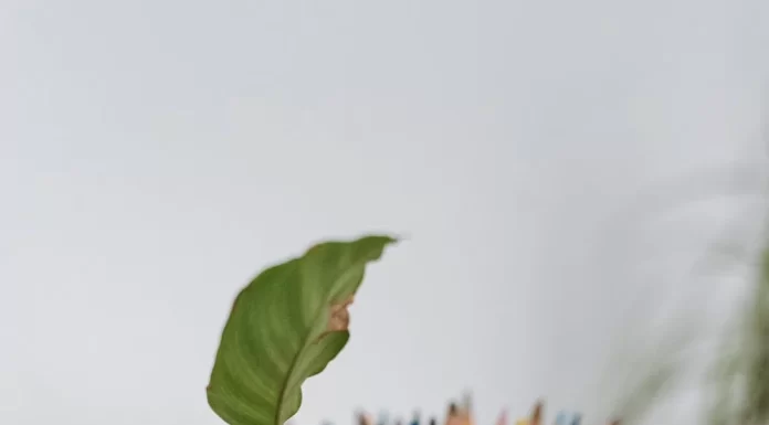 15 Genius Ways to Use Decorative Pedestals at Home