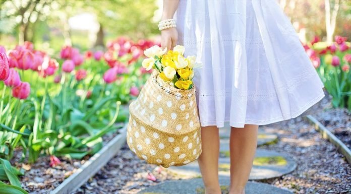 Important gardening tips