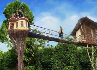 Living Highlife is a Luxury Treehouse for a Family