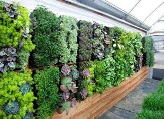 15 creative ideas to design a Vertical Garden