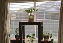 Plant a garden you’ll love with these outdoor plant stands