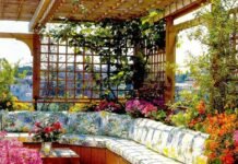 14 Best Plants for Terrace Garden