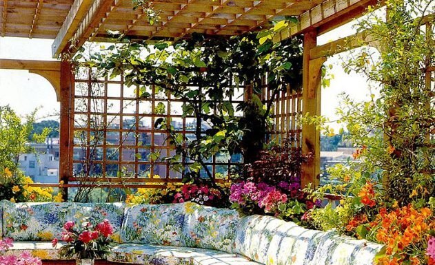 14 Best Plants for Terrace Garden