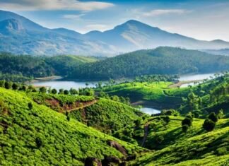 Best Tourist places in Kerala for 2 days