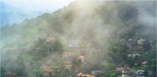 Things to do in Kotagiri : Travel Guide Kotagiri Travel Guide_0