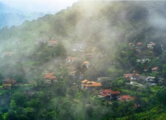 Things to do in Kotagiri : Travel Guide Kotagiri Travel Guide_0