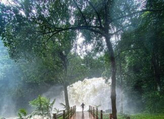 Best places to visit in Coorg for a Memorable Holiday