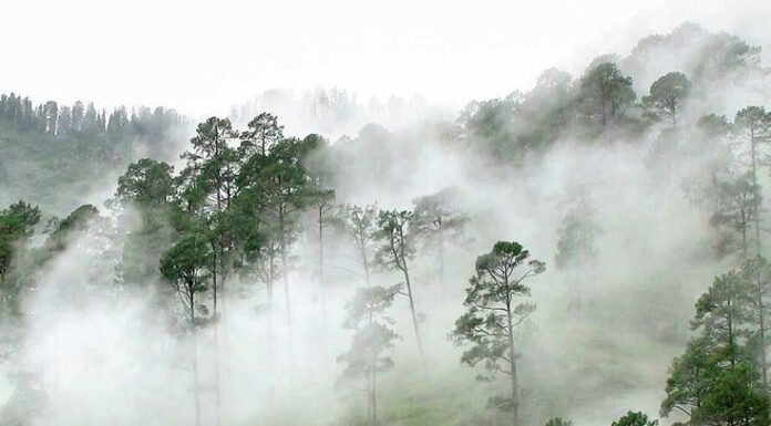 20 Hill Stations in Tamil nadu | Tourist Places in South India