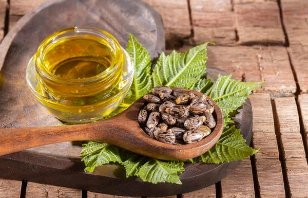 Castor Oil for hair fall | Best Castor oil for hair in India