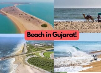 Beach in Gujarat | Nearest beach from Ahmedabad