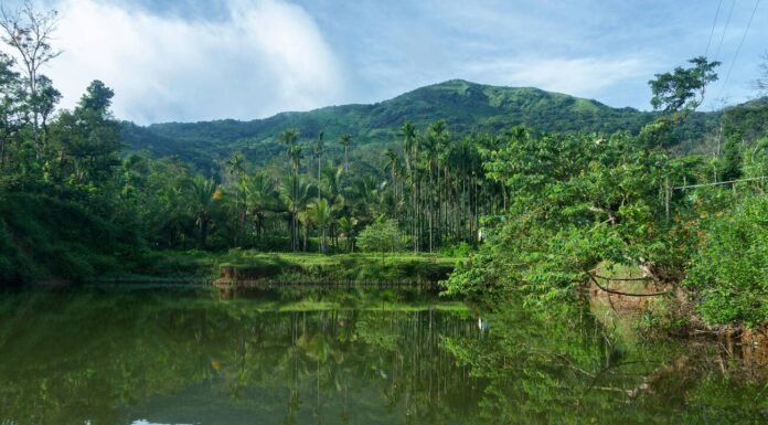 10 Best Places to Visit in Coorg