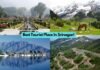 Tourist Place In Srinagar | How To Reach Srinagar