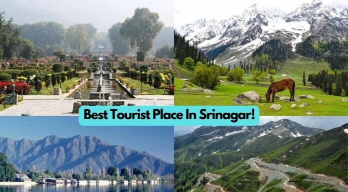Tourist Place In Srinagar | How To Reach Srinagar