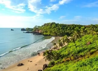 12 Popular Beaches in South Goa