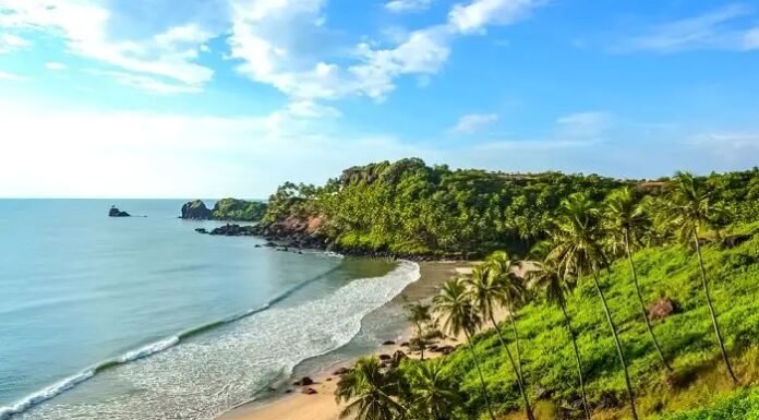 12 Popular Beaches in South Goa