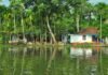 14 Homestay in Alleppey Backwaters
