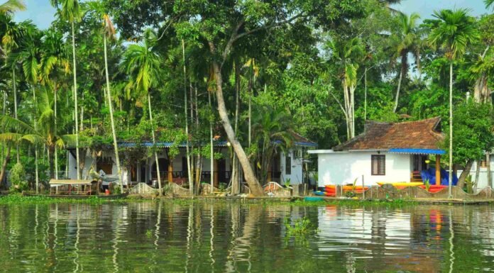 14 Homestay in Alleppey Backwaters