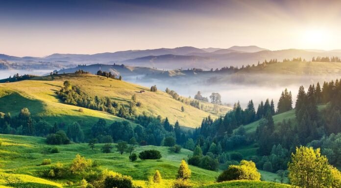 12 Best Hill Stations in South India for Holidays