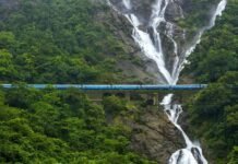 Top 10 Best Waterfall in Maharashtra