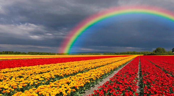 10 Beautiful Gardens in the World | Ultimate Travel Picks