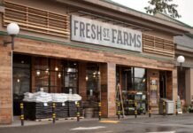 10 Retail Shop Front Elevation Design for Modern Stores