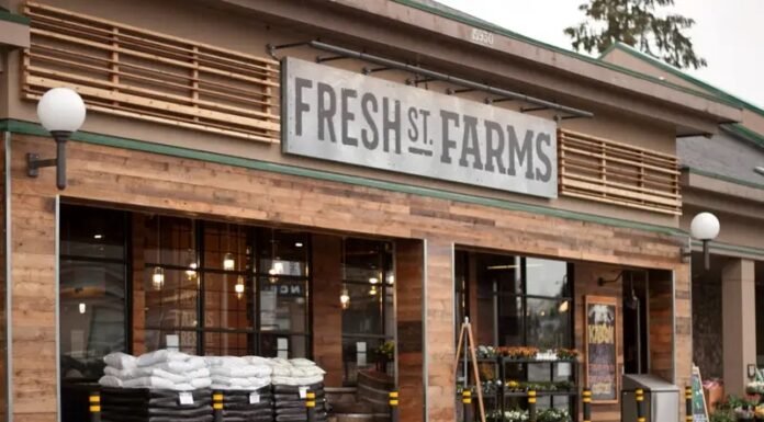 10 Retail Shop Front Elevation Design for Modern Stores