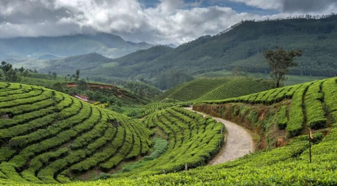 10 Famous Hill Stations in Darjeeling