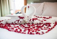12 Couple Friendly Hotels in Navi Mumbai for a Romantic Stay