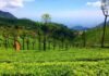 12 Kotagiri Tourist Places for Nature Lovers