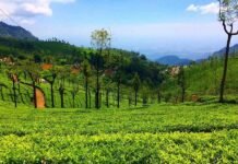 12 Kotagiri Tourist Places for Nature & Adventure Lovers