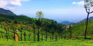12 Kotagiri Tourist Places for Nature & Adventure Lovers