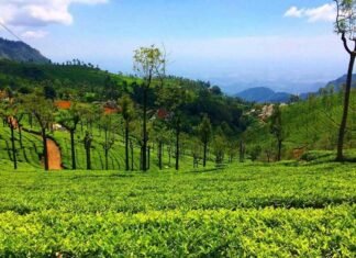 12 Kotagiri Tourist Places for Nature & Adventure Lovers