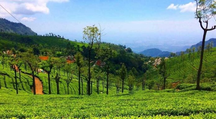 12 Kotagiri Tourist Places for Nature & Adventure Lovers