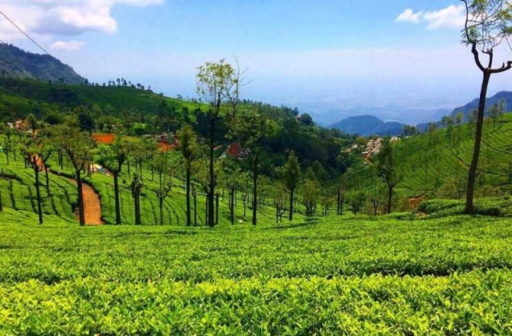 12 Kotagiri Tourist Places for Nature & Adventure Lovers