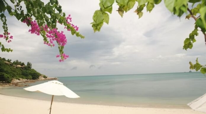 Top 12 Resorts in Vizag Near Beach with Stunning Sea Views