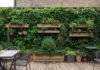 Low Budget Terrace Garden Ideas to Transform Your Space