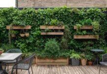 Low Budget Terrace Garden Ideas to Transform Your Space