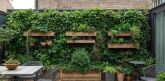 Low Budget Terrace Garden Ideas to Transform Your Space