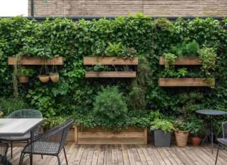 Low Budget Terrace Garden Ideas to Transform Your Space
