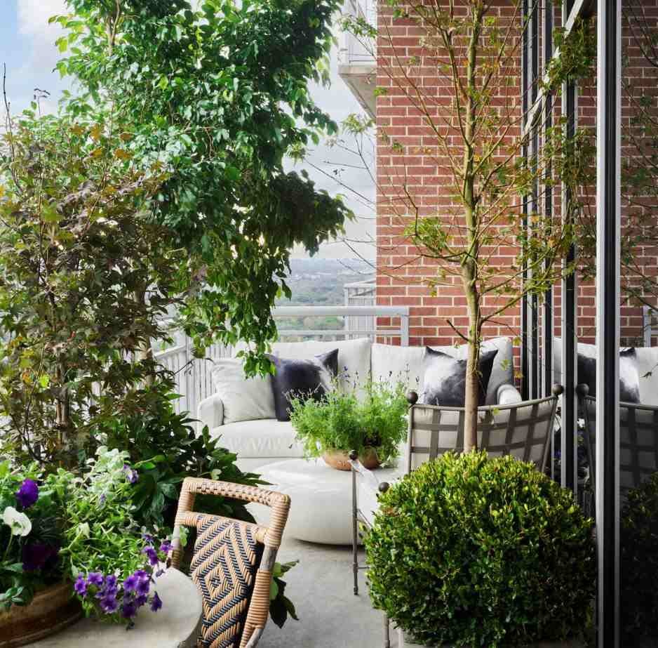 Low Budget Terrace Garden Ideas
