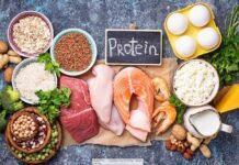 Complete Protein Sources for Balanced Nutrition