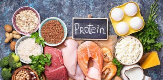 Complete Protein Sources for Balanced Nutrition