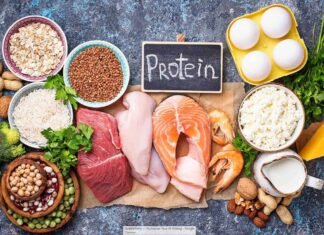 Complete Protein Sources for Balanced Nutrition