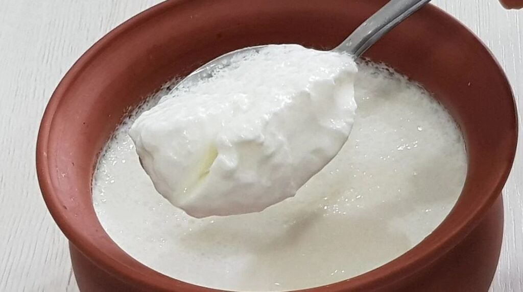 Top 20 Probiotic Foods