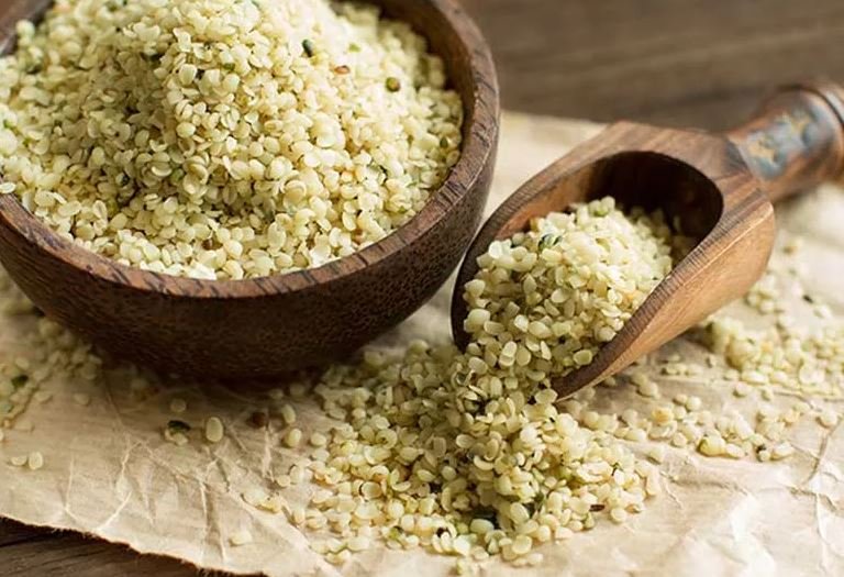 Vegetarian Sources of Protein