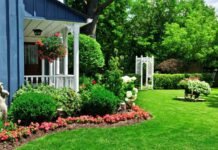 Landscaping Ideas to Transform Your Backyard