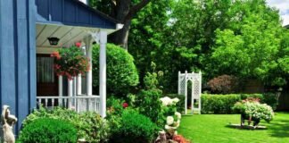 Landscaping Ideas to Transform Your Backyard
