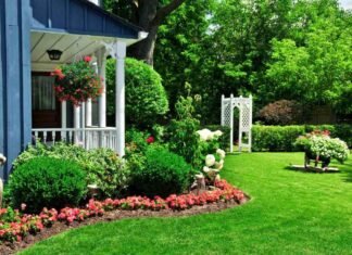 Landscaping Ideas to Transform Your Backyard