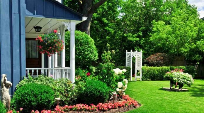 Landscaping Ideas to Transform Your Backyard