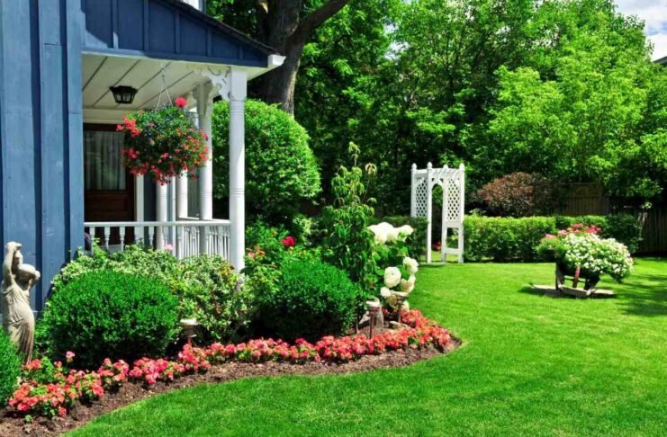 Landscaping Ideas to Transform Your Backyard